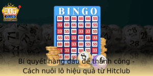 Bi Quyet Hang Au E Thanh Cong Cach Nuoi Lo Hieu Qua Tu Hitclub Danh Cho Nguoi Moi Bat Au